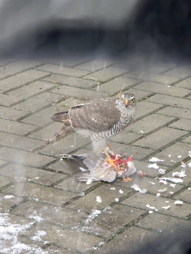 Realitatea – o coincidență?