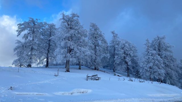 Rezoluție personală